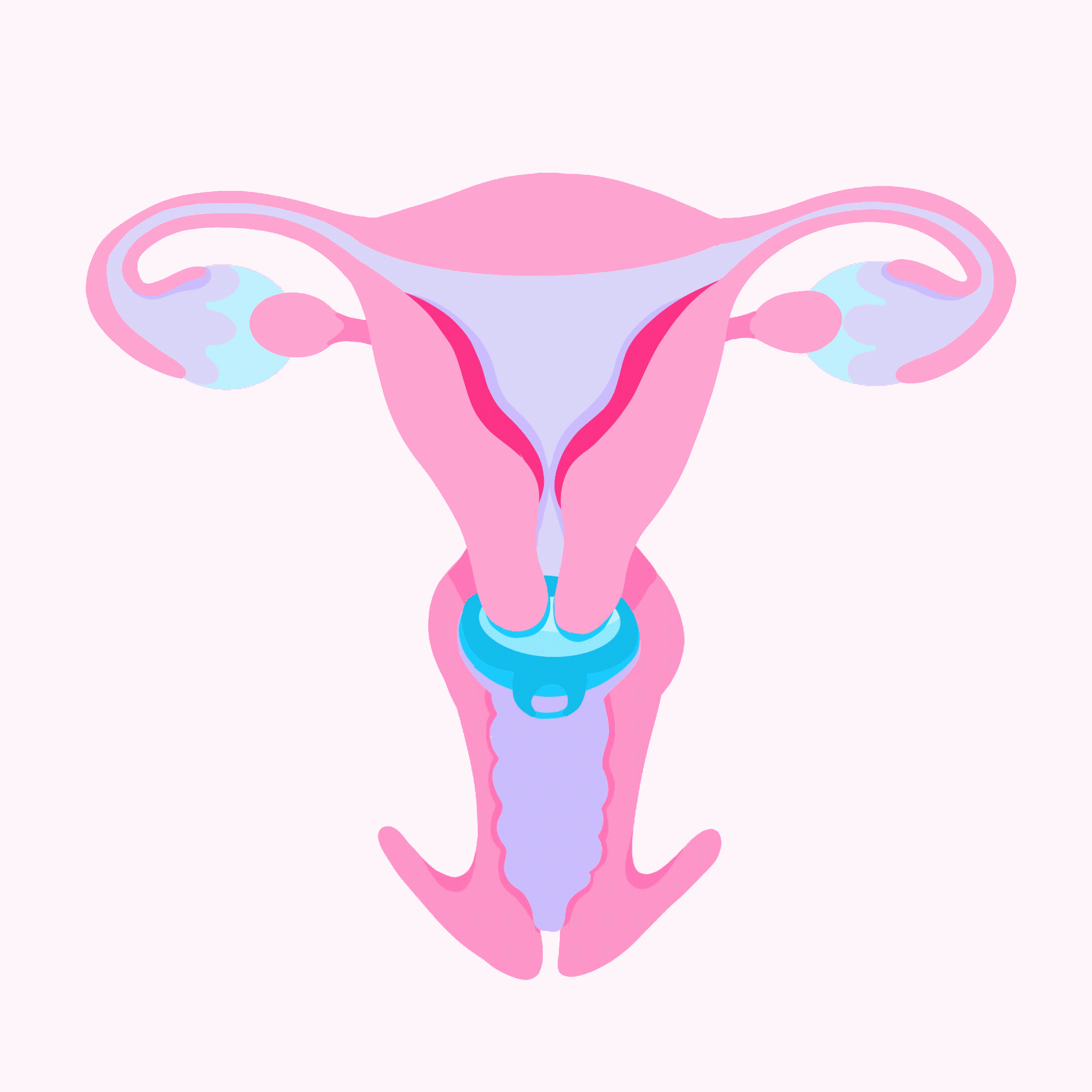 Menstrual Cycle Phases Get To Know Your Flow Hello Period Menstrual Cycle Phases Get To Know Your Flow Hello Period
