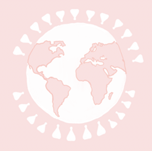 Hello's Menstrual Cup Pilot Program in Africa