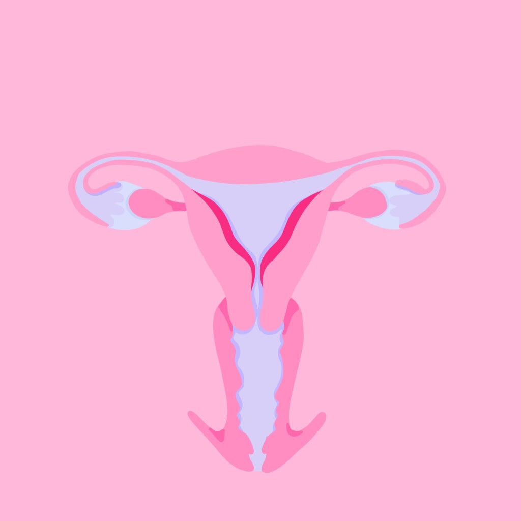 What Is Endo: Endometriosis Explained