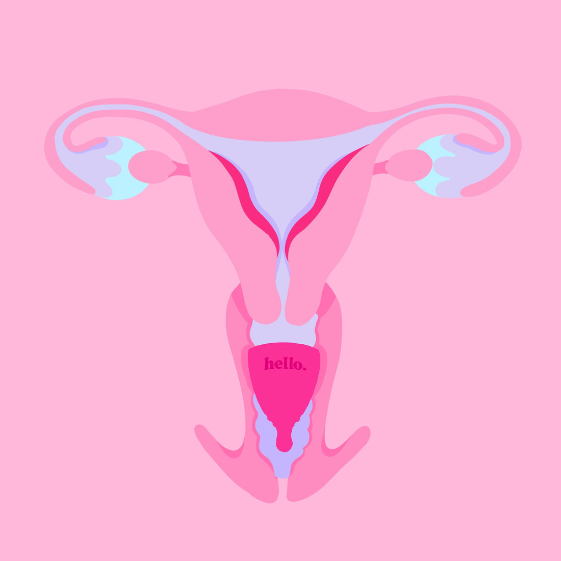 illustration of a menstrual cup inside a vulva