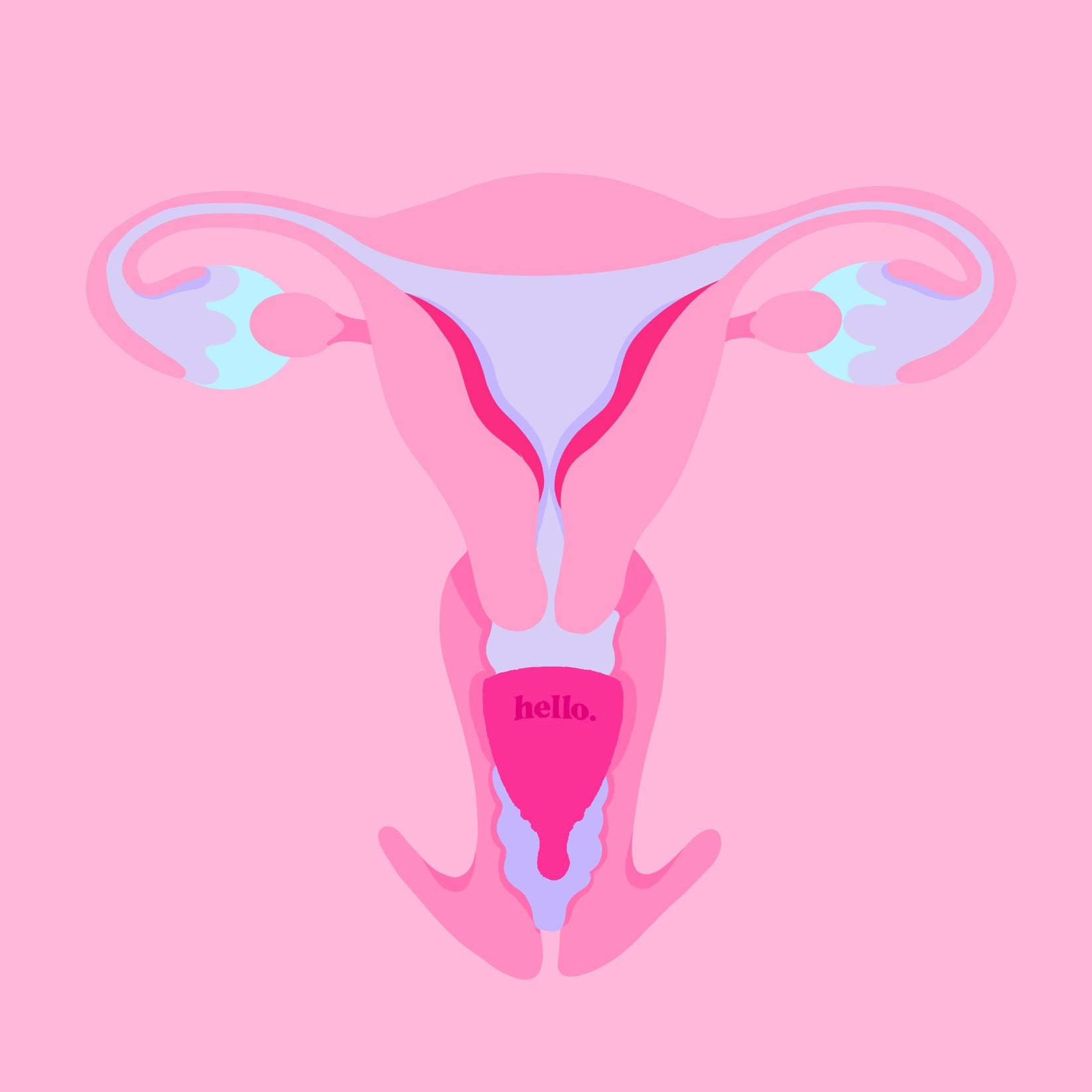 illustration of a menstrual cup inside a vulva